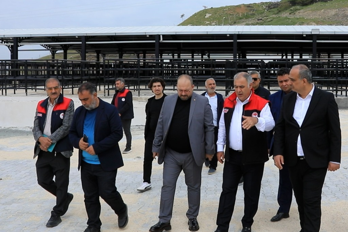 Kurban Kesim Alanı Bayrama Hazır