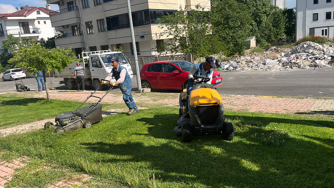 Yeşil Alanlarda Yoğun Bakım Dönemi