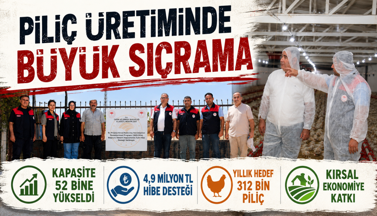 Piliç üretiminde büyük sıçrama